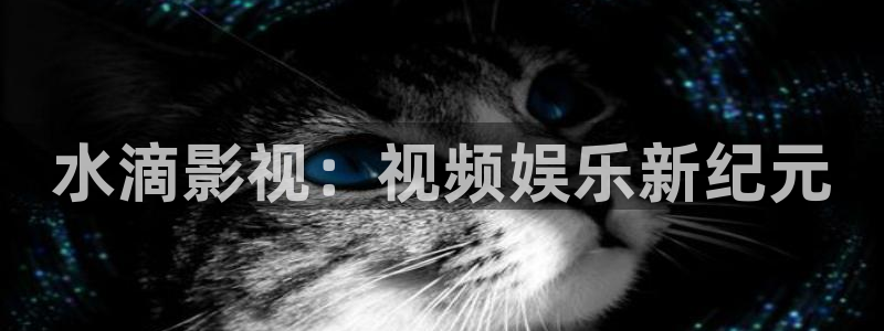 88影视网暴风眼的电视剧大全