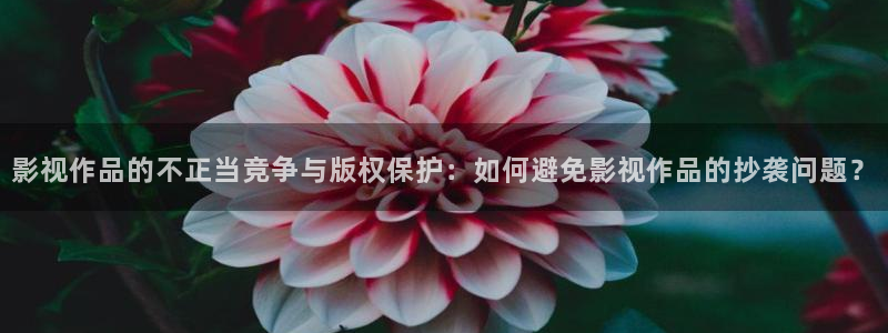88影视最新版