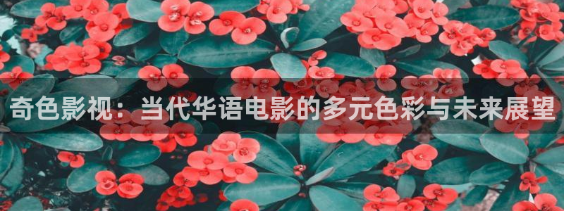 88影视网网