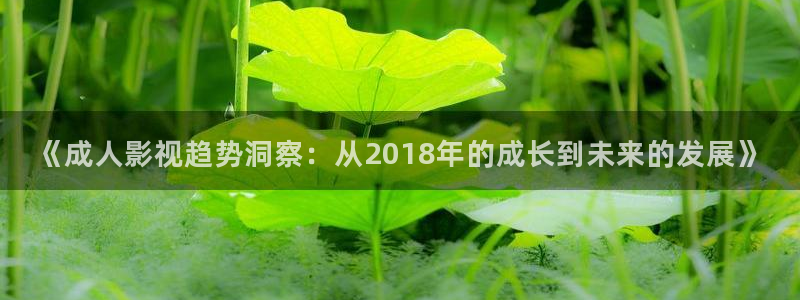 88影视网电视剧