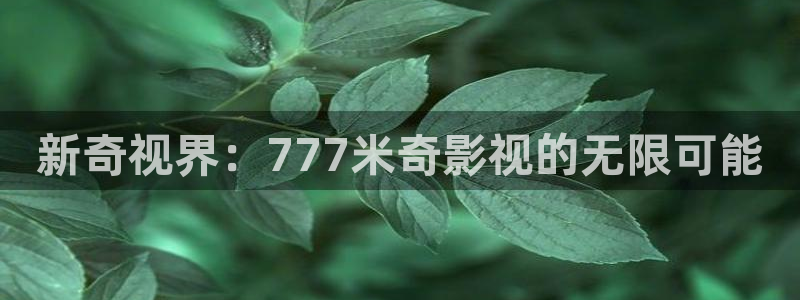 777米奇色狠狠8888影